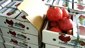 صادرات-میوه-به-عمان