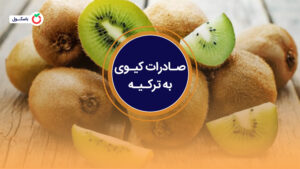 صادرات کیوی به ترکیه